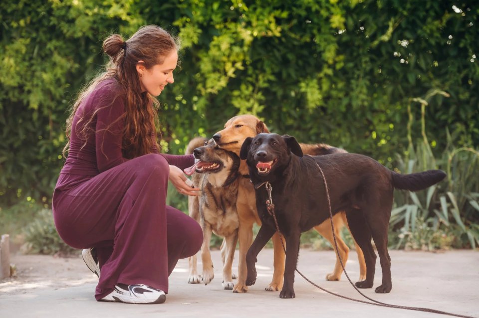Ochrana proti blechám
