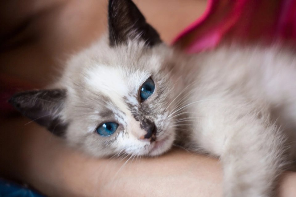 Ošetření ran a úrazů